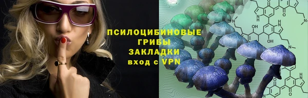 гидра Ельня
