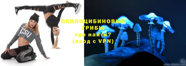 гидра Ельня