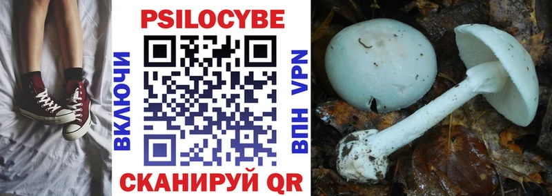 Купить  Ленинск  Галлюциногенные грибы MAGIC MUSHROOMS 